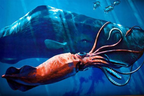 Kraken ссылка onion 2kmp